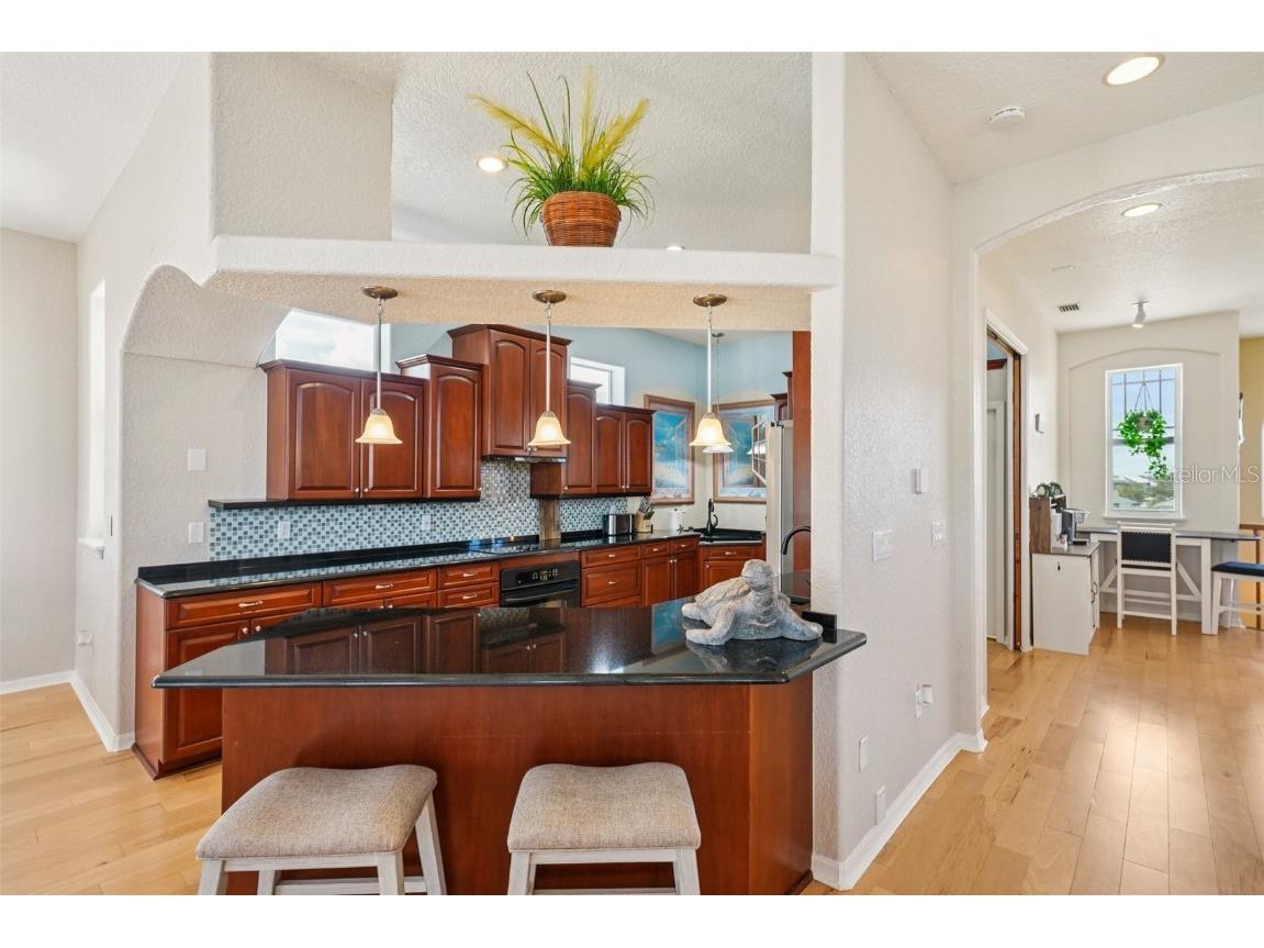 6543 Louise Court Hudson FL 34667 TB8396049 image31