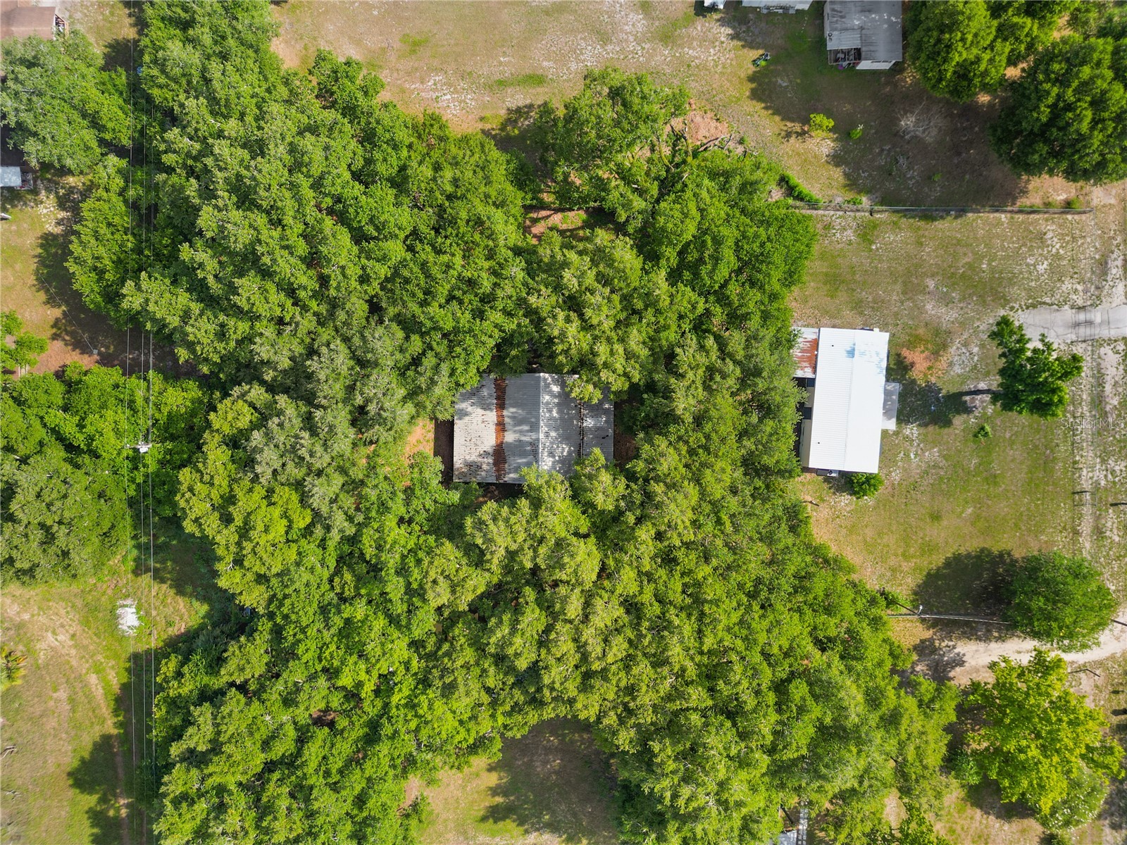 6543 Lure Court Lake Wales FL 33898 L4962833 image32