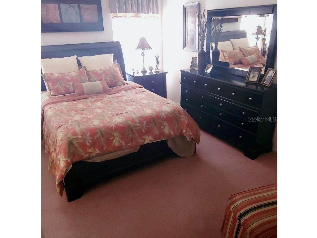 6543 Pine Walk Drive New Port Richey FL 34655 W7880794 image10