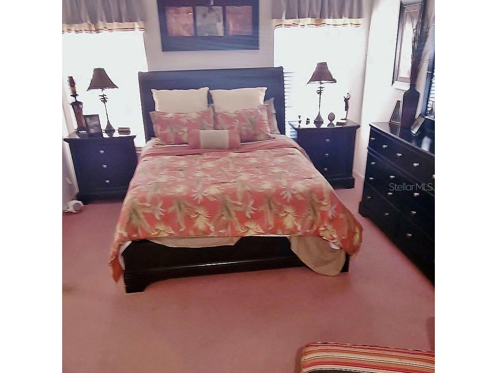 6543 Pine Walk Drive New Port Richey FL 34655 W7880794 image11