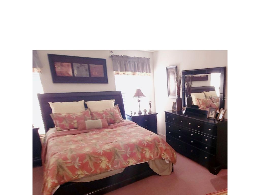 6543 Pine Walk Drive New Port Richey FL 34655 W7880794 image9