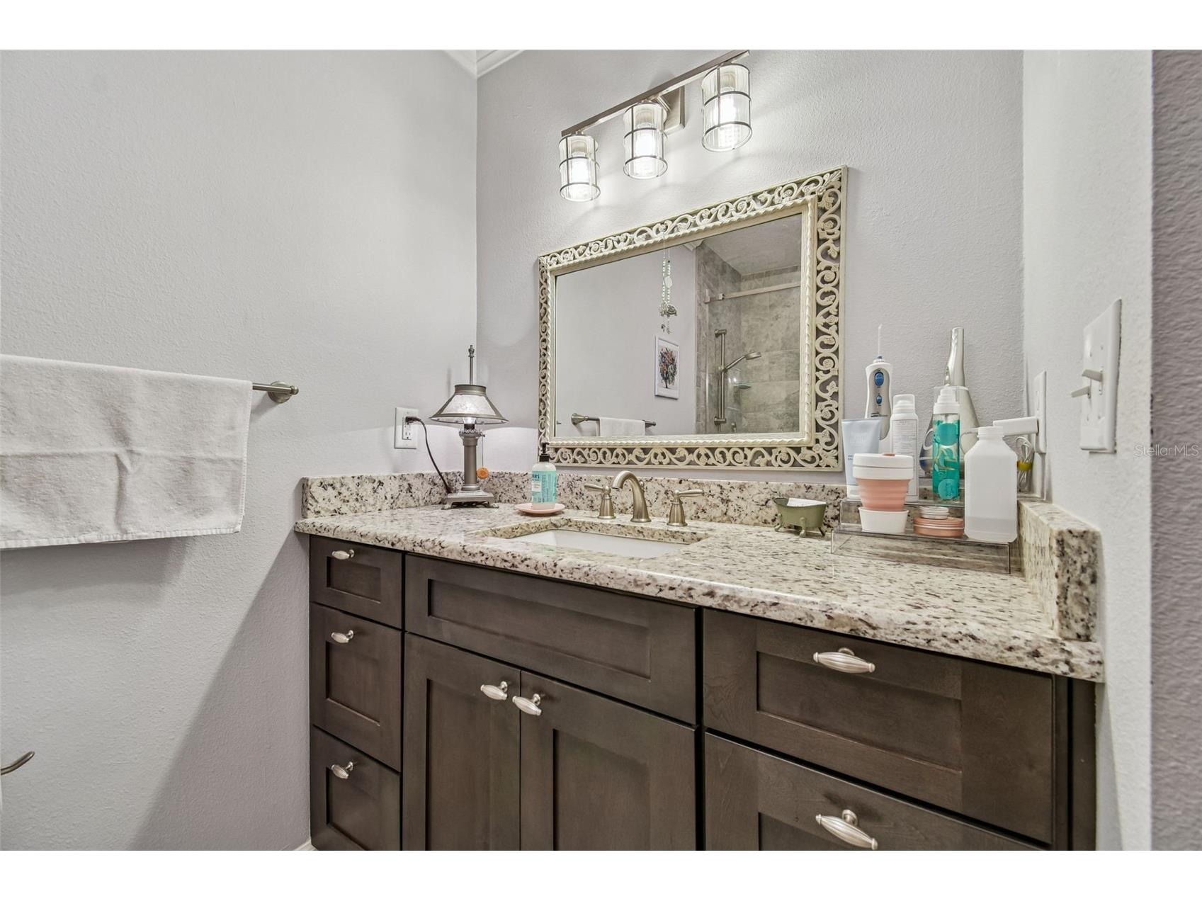 6543 Trail Ridge Drive #6543 Lakeland FL 33813 L4959552 image32