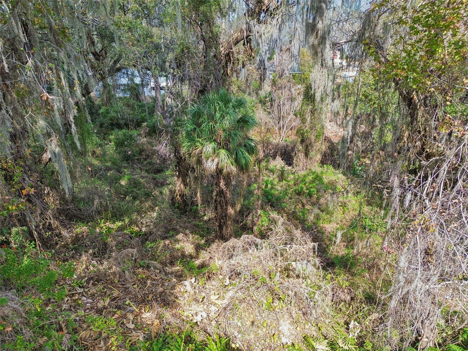 6543 Trail Ridge Drive #6543 Lakeland FL 33813 L4959552 image51