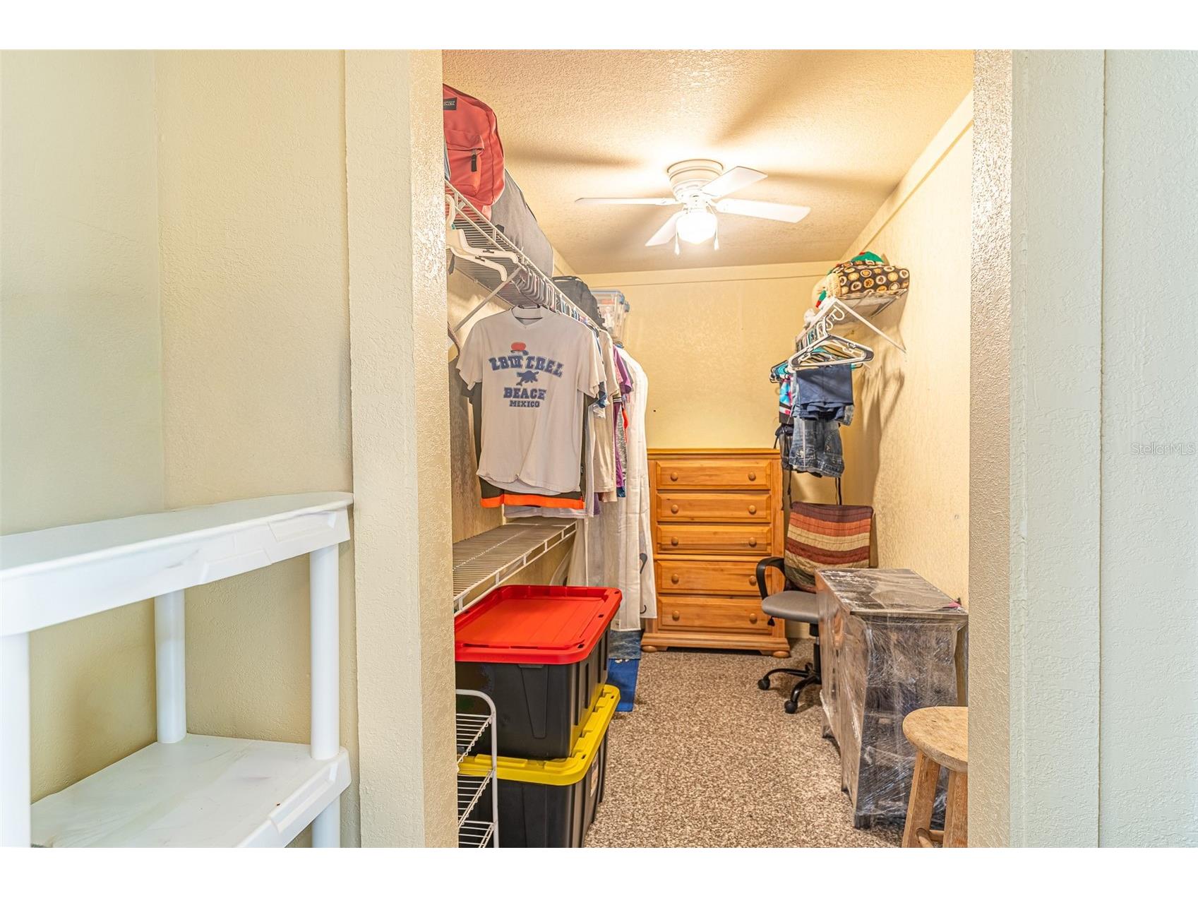 6544 Calusa Drive Lakeland FL 33813 L4959303 image13