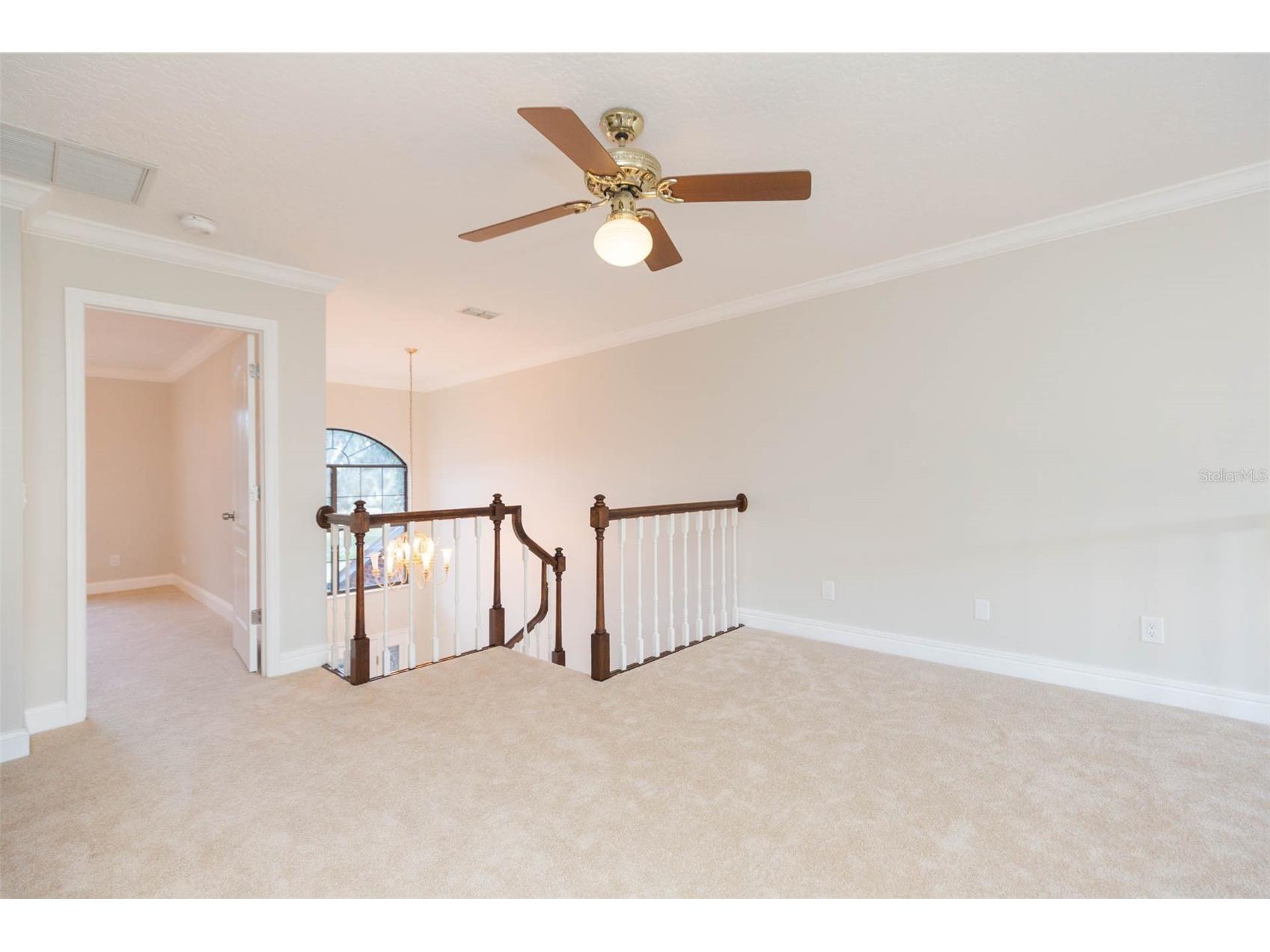 6545 Brentwood Drive Zephyrhills FL 33542 TB8463919 image25