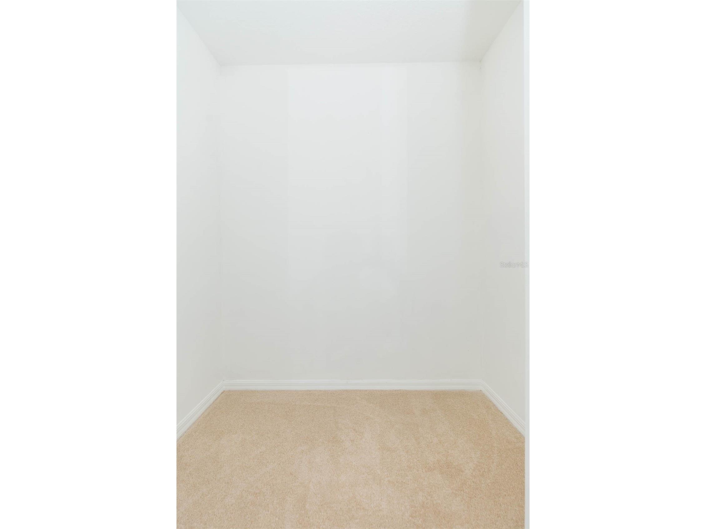 6545 Brentwood Drive Zephyrhills FL 33542 TB8463919 image32