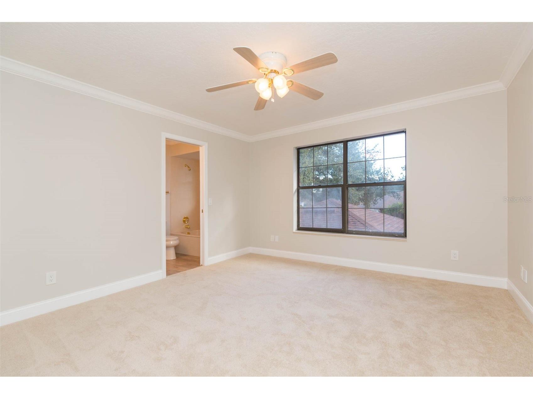 6545 Brentwood Drive Zephyrhills FL 33542 TB8463919 image35