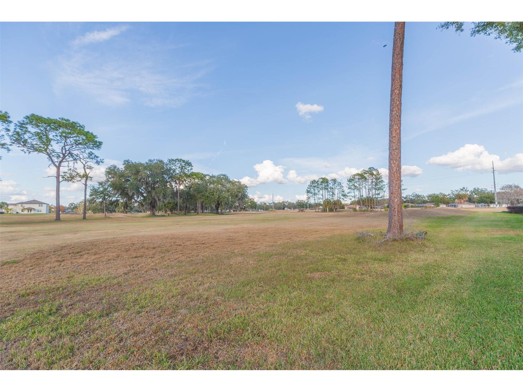 6545 Brentwood Drive Zephyrhills FL 33542 TB8463919 image47