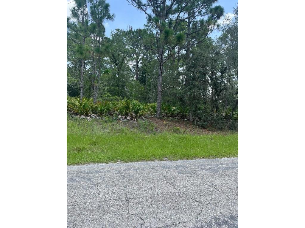 6546 N Foxdale Drive Citrus Springs FL 34434 OM658573 image1