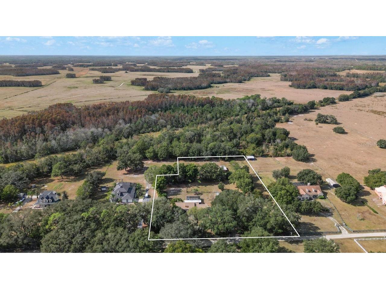 6547 Lake Irene Drive Land O Lakes FL 34638 TB8443868 image1