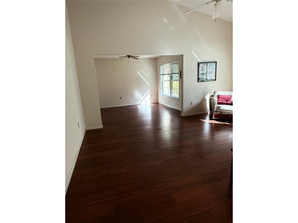 6547 Lake Irene Drive Land O Lakes FL 34638 TB8443868 image12