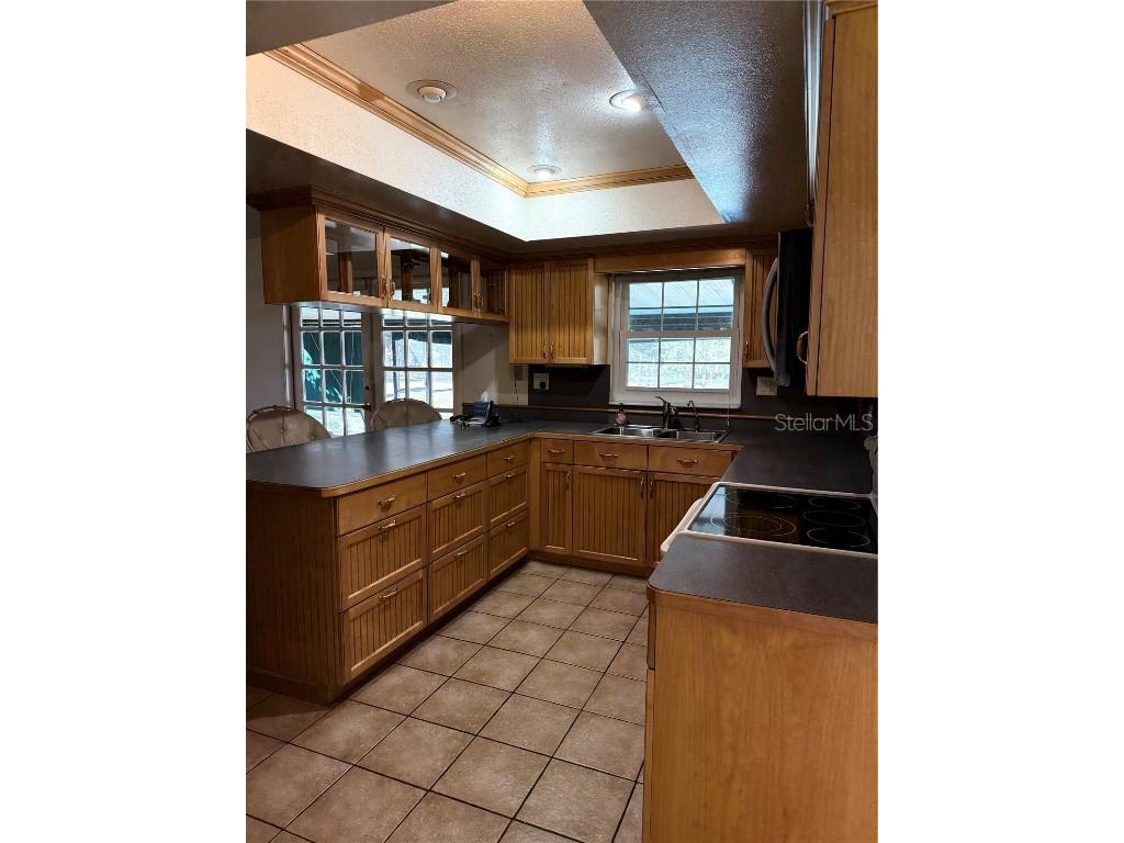 6547 Lake Irene Drive Land O Lakes FL 34638 TB8443868 image13