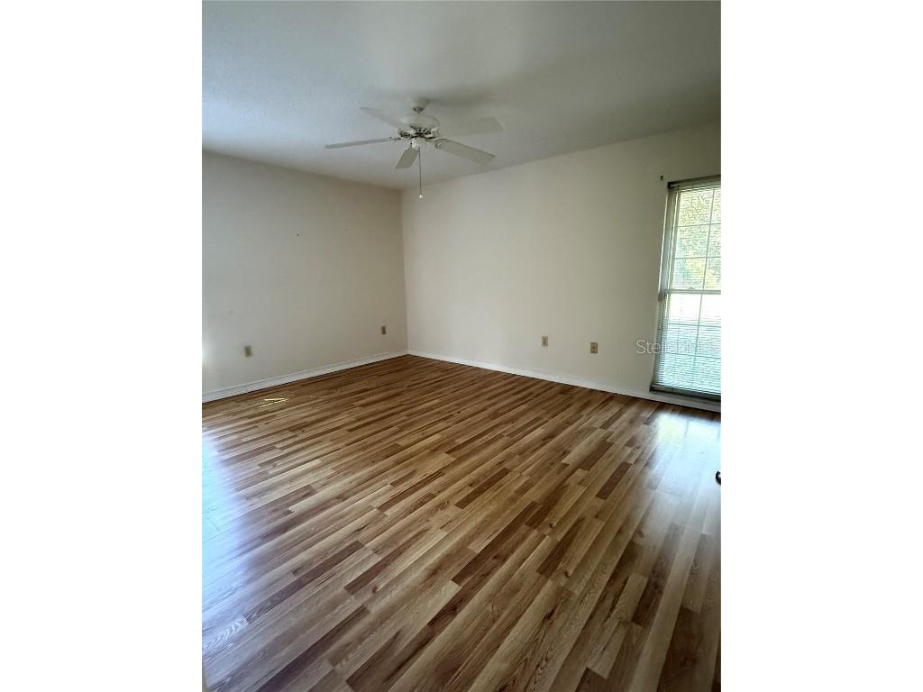 6547 Lake Irene Drive Land O Lakes FL 34638 TB8443868 image18