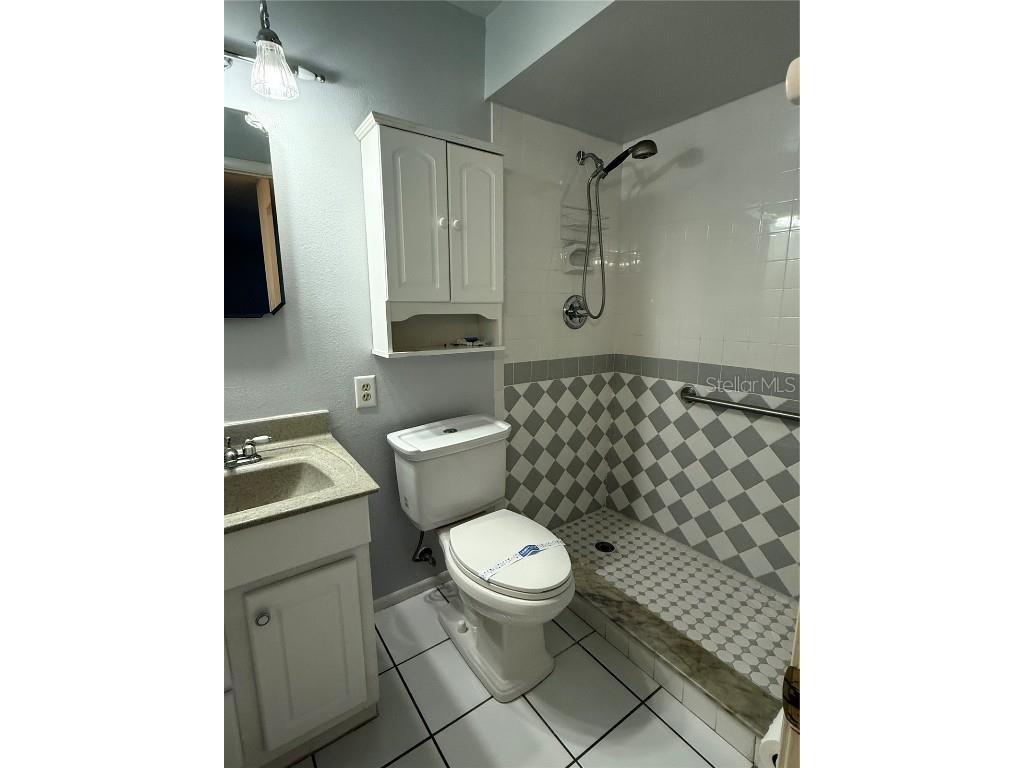 6547 Lake Irene Drive Land O Lakes FL 34638 TB8443868 image19