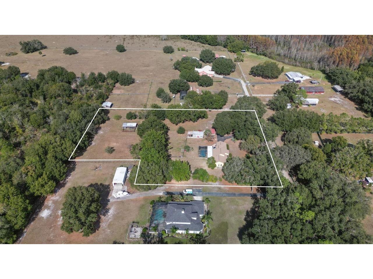 6547 Lake Irene Drive Land O Lakes FL 34638 TB8443868 image2