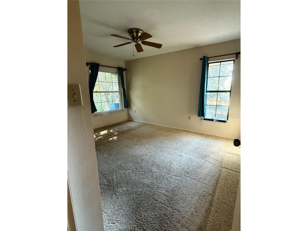 6547 Lake Irene Drive Land O Lakes FL 34638 TB8443868 image21