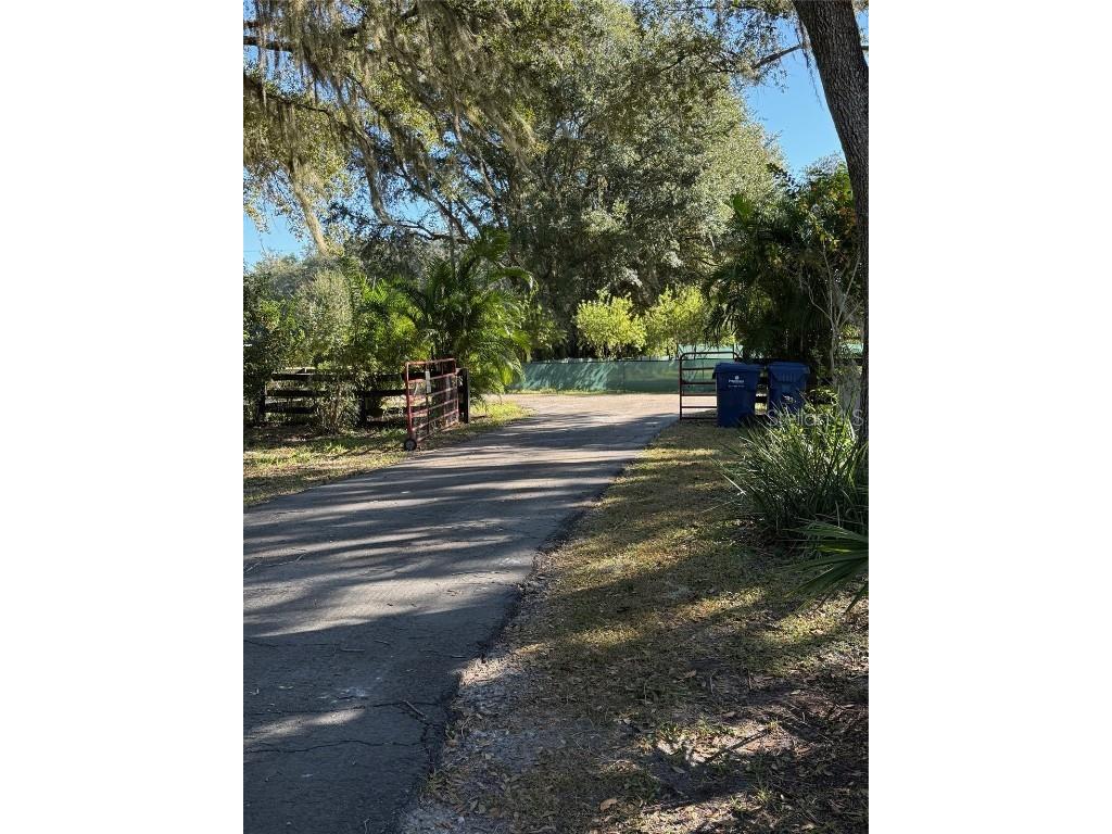 6547 Lake Irene Drive Land O Lakes FL 34638 TB8443868 image22