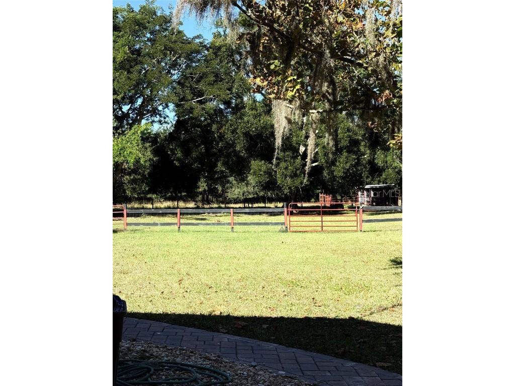 6547 Lake Irene Drive Land O Lakes FL 34638 TB8443868 image23