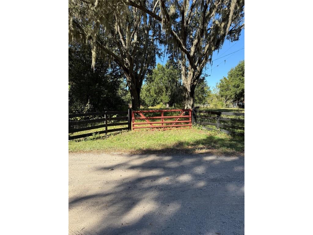 6547 Lake Irene Drive Land O Lakes FL 34638 TB8443868 image24