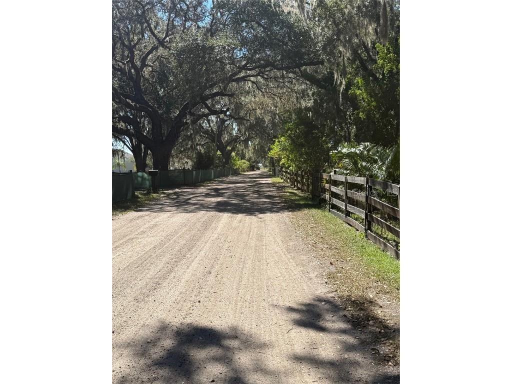 6547 Lake Irene Drive Land O Lakes FL 34638 TB8443868 image6