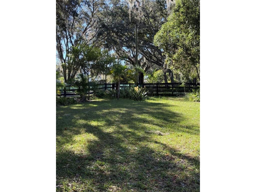 6547 Lake Irene Drive Land O Lakes FL 34638 TB8443868 image7