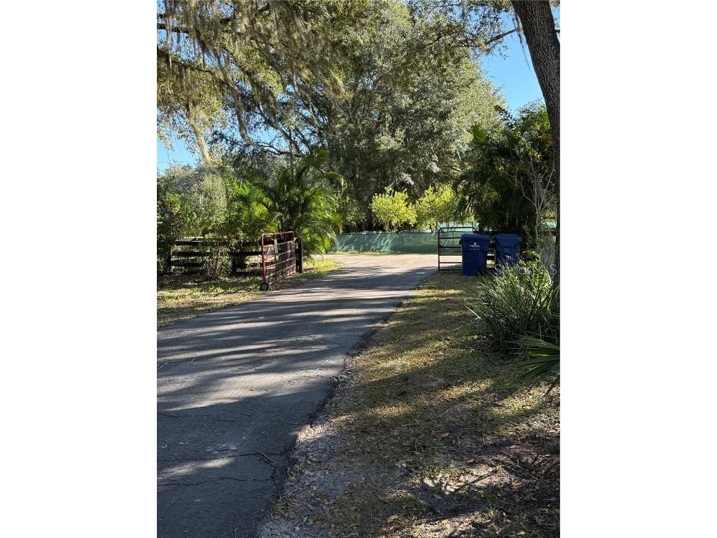 6547 Lake Irene Drive Land O Lakes FL 34638 TB8443868 image8