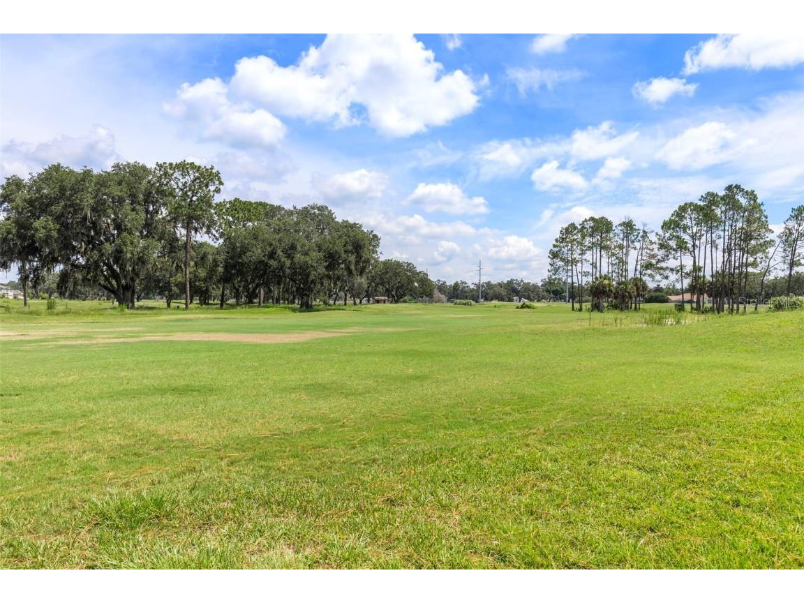 6549 Brentwood Drive Zephyrhills FL 33542 TB8407547 image29