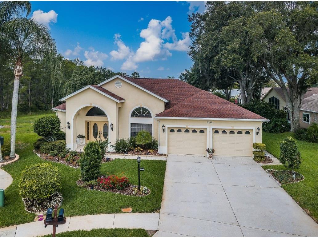 6549 Cardinal Crest Drive New Port Richey FL 34655 W7856114 image1