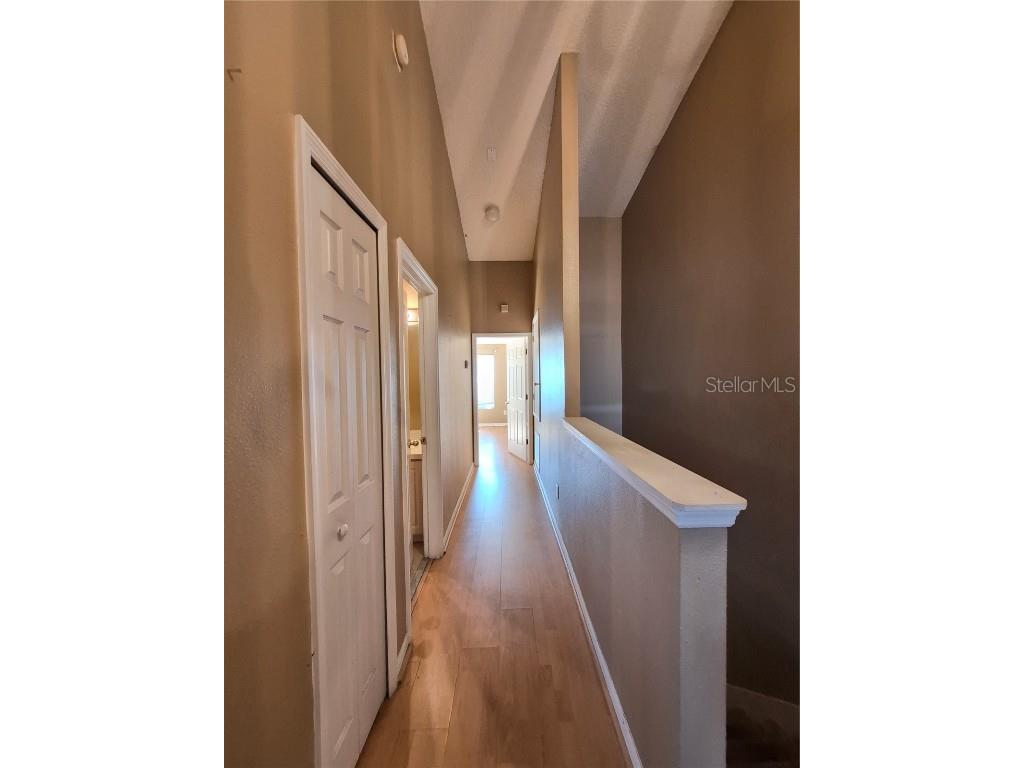 6549 Osprey Lake Circle Riverview FL 33578 O6348218 image11