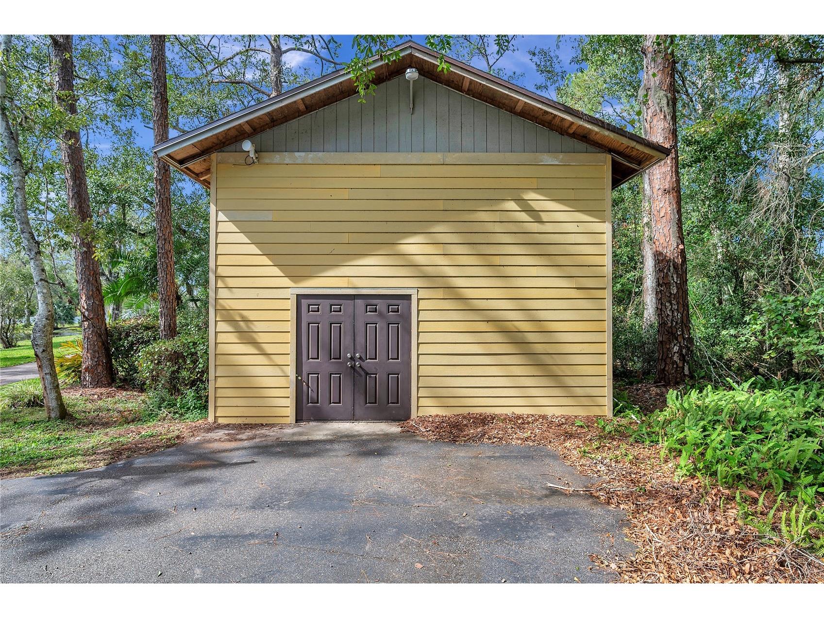 655 Appaloosa Road Tarpon Springs FL 34688 TB8464924 image13