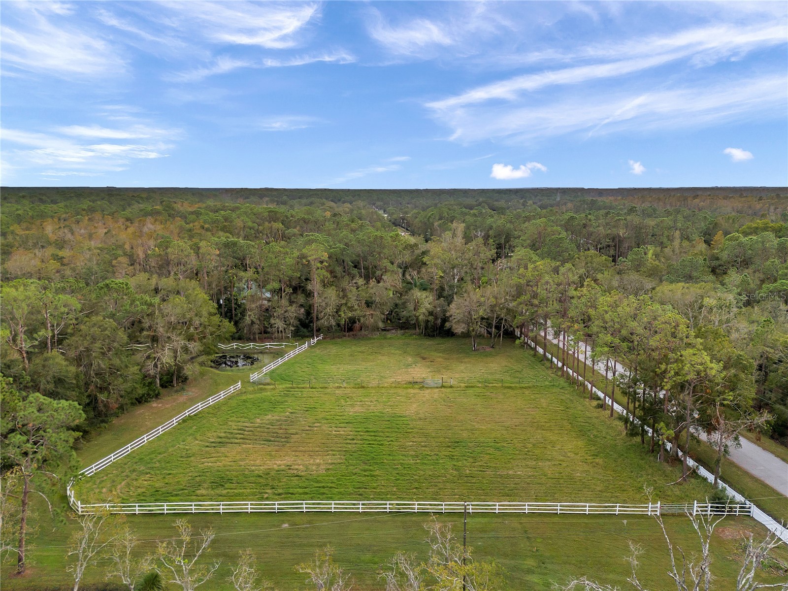 655 Appaloosa Road Tarpon Springs FL 34688 TB8464924 image2
