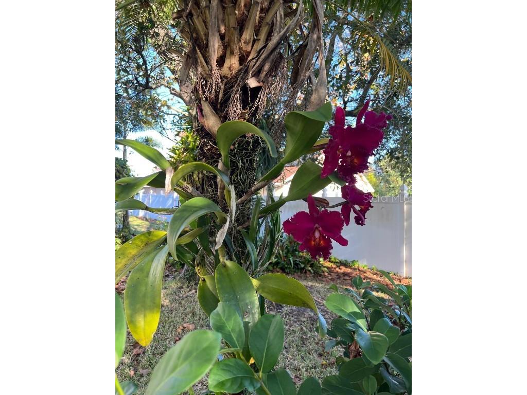 655 Eagle Pointe S Kissimmee FL 34746 O6367816 image37