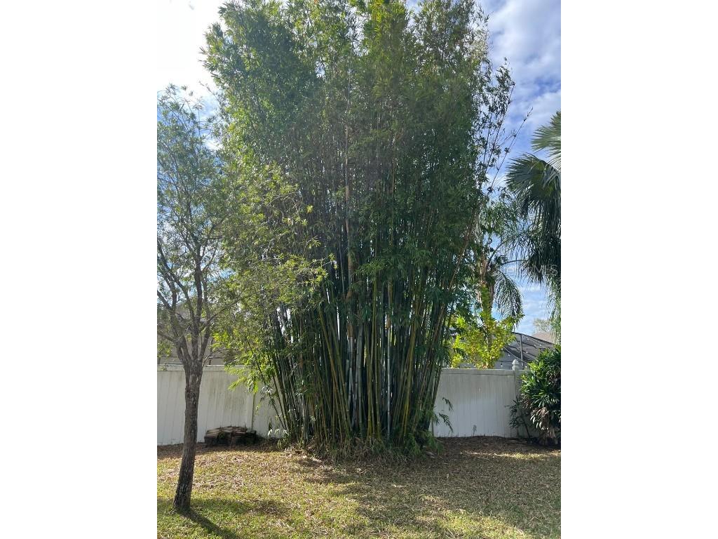 655 Eagle Pointe S Kissimmee FL 34746 O6367816 image38