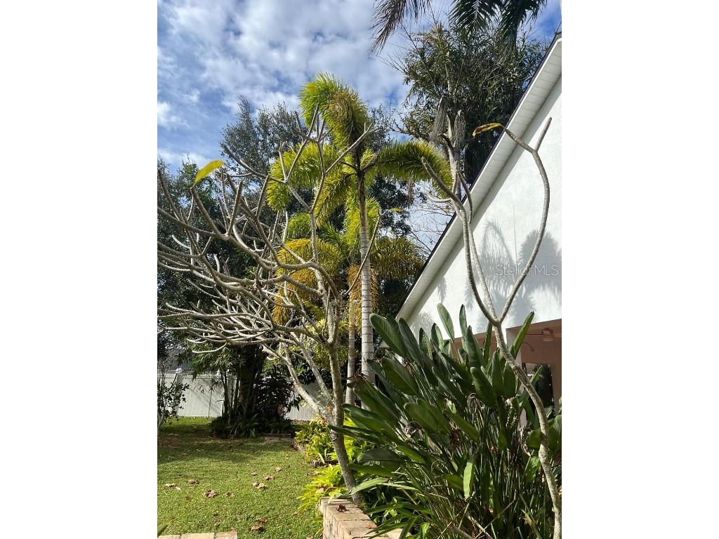 655 Eagle Pointe S Kissimmee FL 34746 O6367816 image40