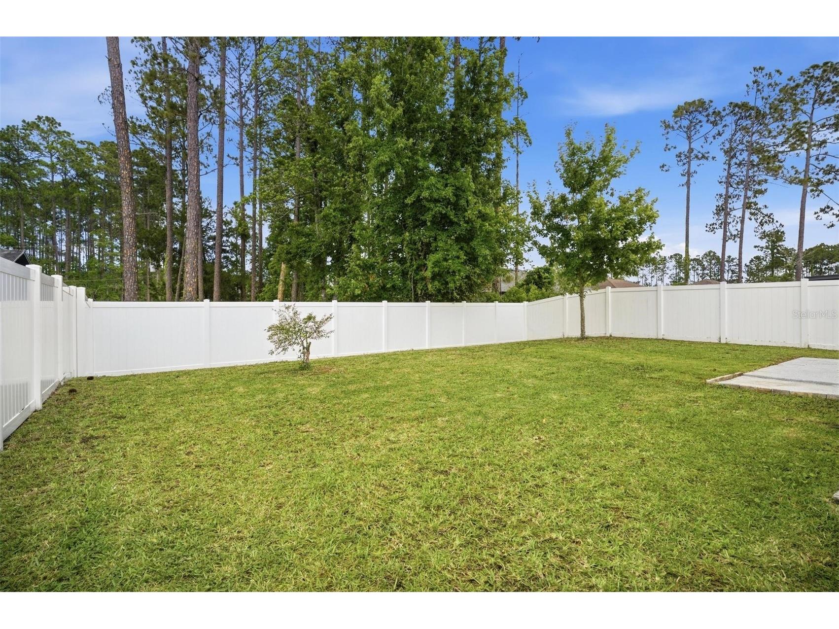 655 Grand Reserve Drive Bunnell FL 32110 FC318772 image46