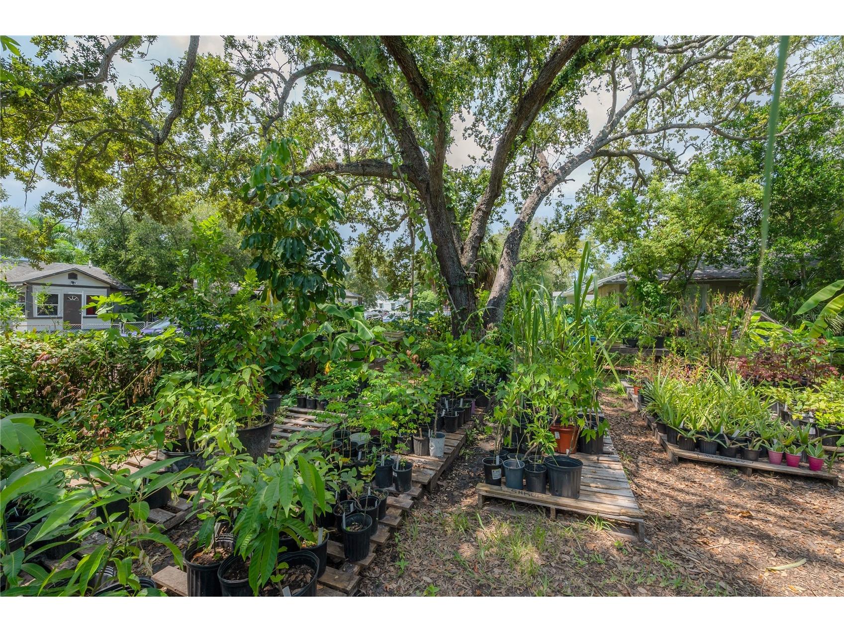 655 Paris Avenue S Saint Petersburg FL 33701 TB8477387 image52