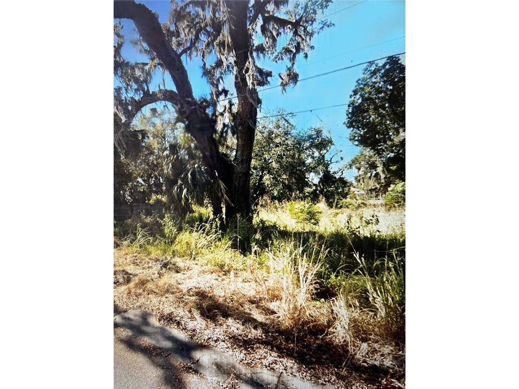 655 S 6th Avenue Bartow FL 33830 G5099016 image1
