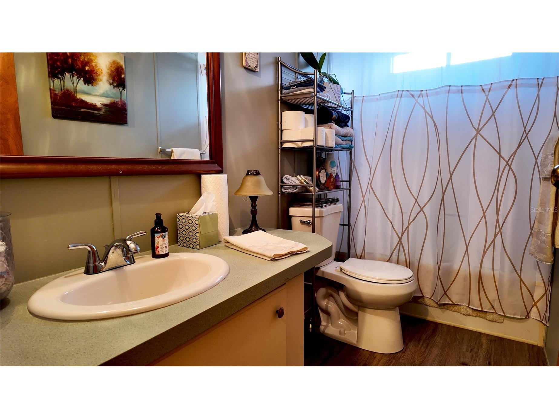 655 SE 162nd Terrace Silver Springs FL 34488 OM720696 image21