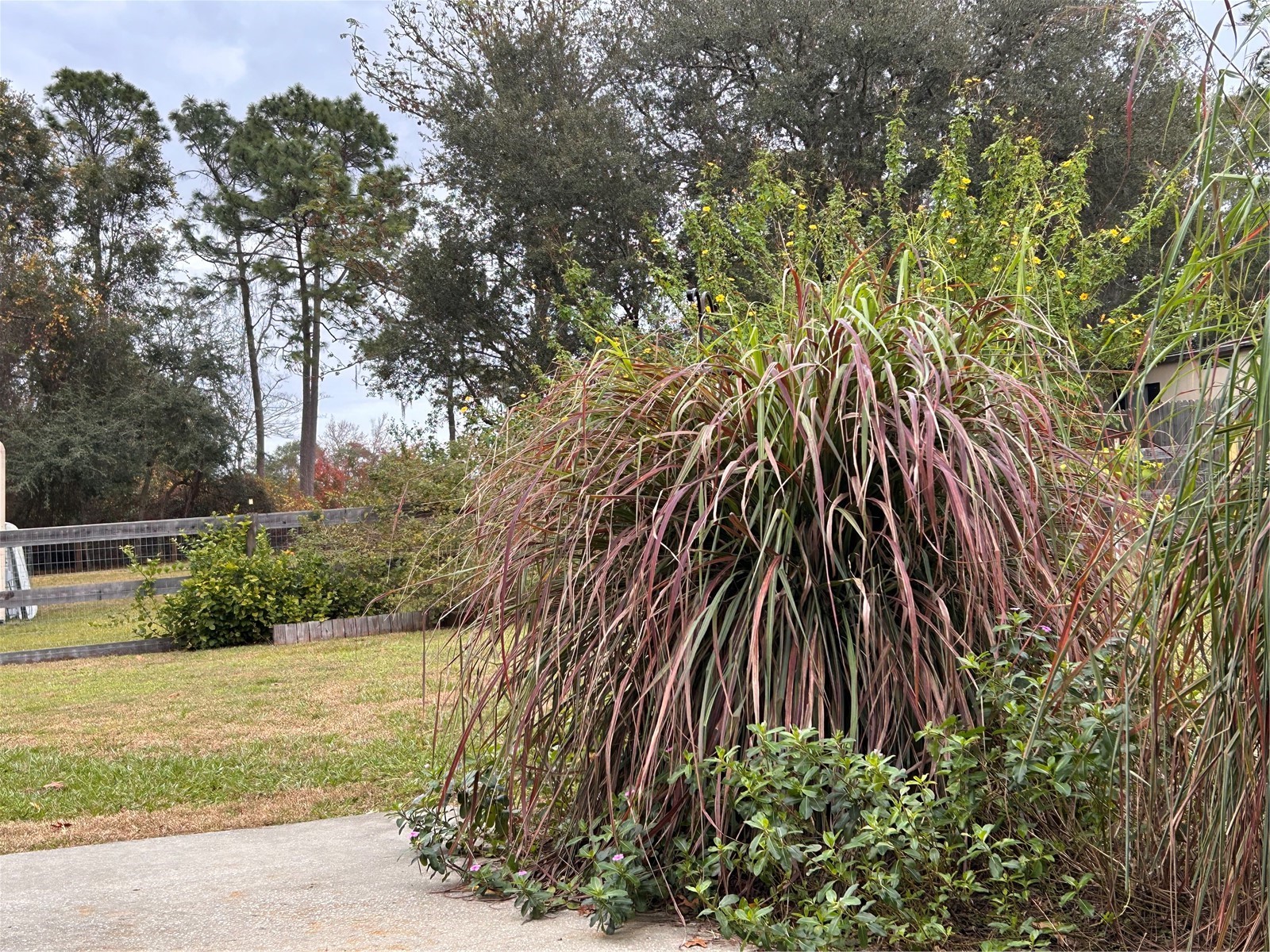 655 SE 162nd Terrace Silver Springs FL 34488 OM720696 image29