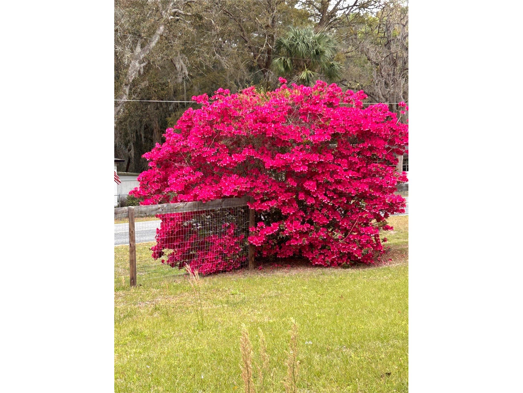 655 SE 162nd Terrace Silver Springs FL 34488 OM720696 image34