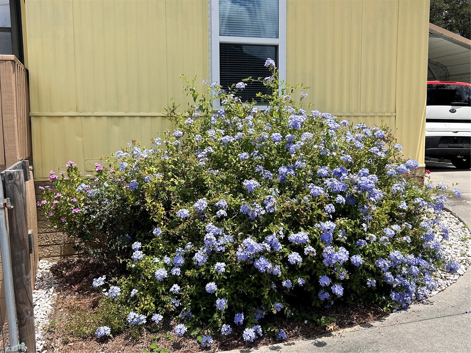 655 SE 162nd Terrace Silver Springs FL 34488 OM720696 image6