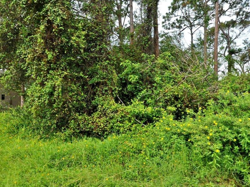 655 SE Starfish Avenue Port Saint Lucie FL 34983 O6045204 image1