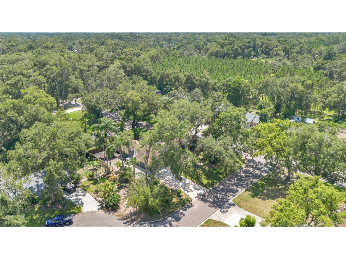 655 Vine Court Apopka FL 32703 S5128194 image39