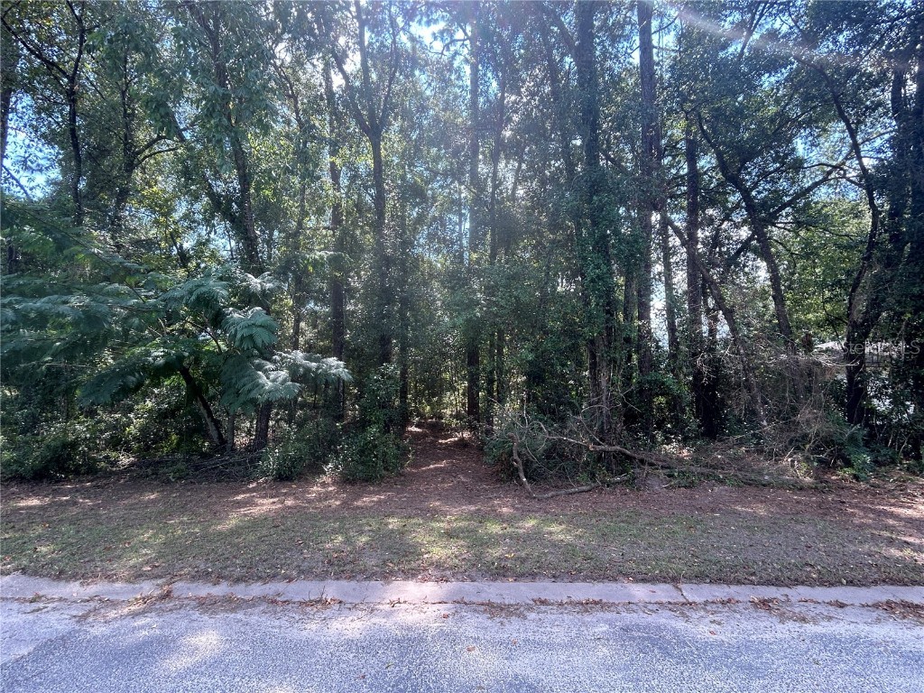 6550 E Gurley Street Inverness FL 34452 OM687911 image1