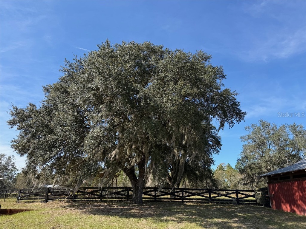 6550 SE 143rd Court Morriston FL 32668 OM713409 image41