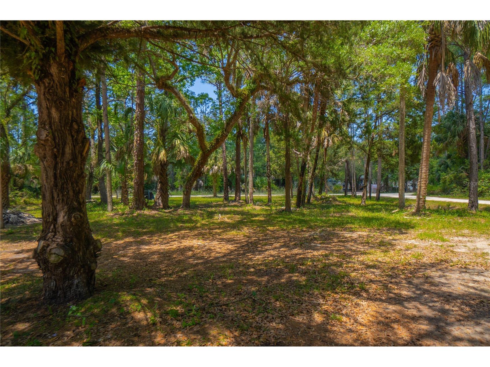 6550 SE Debra Avenue Inglis FL 34449 W7885509 image33