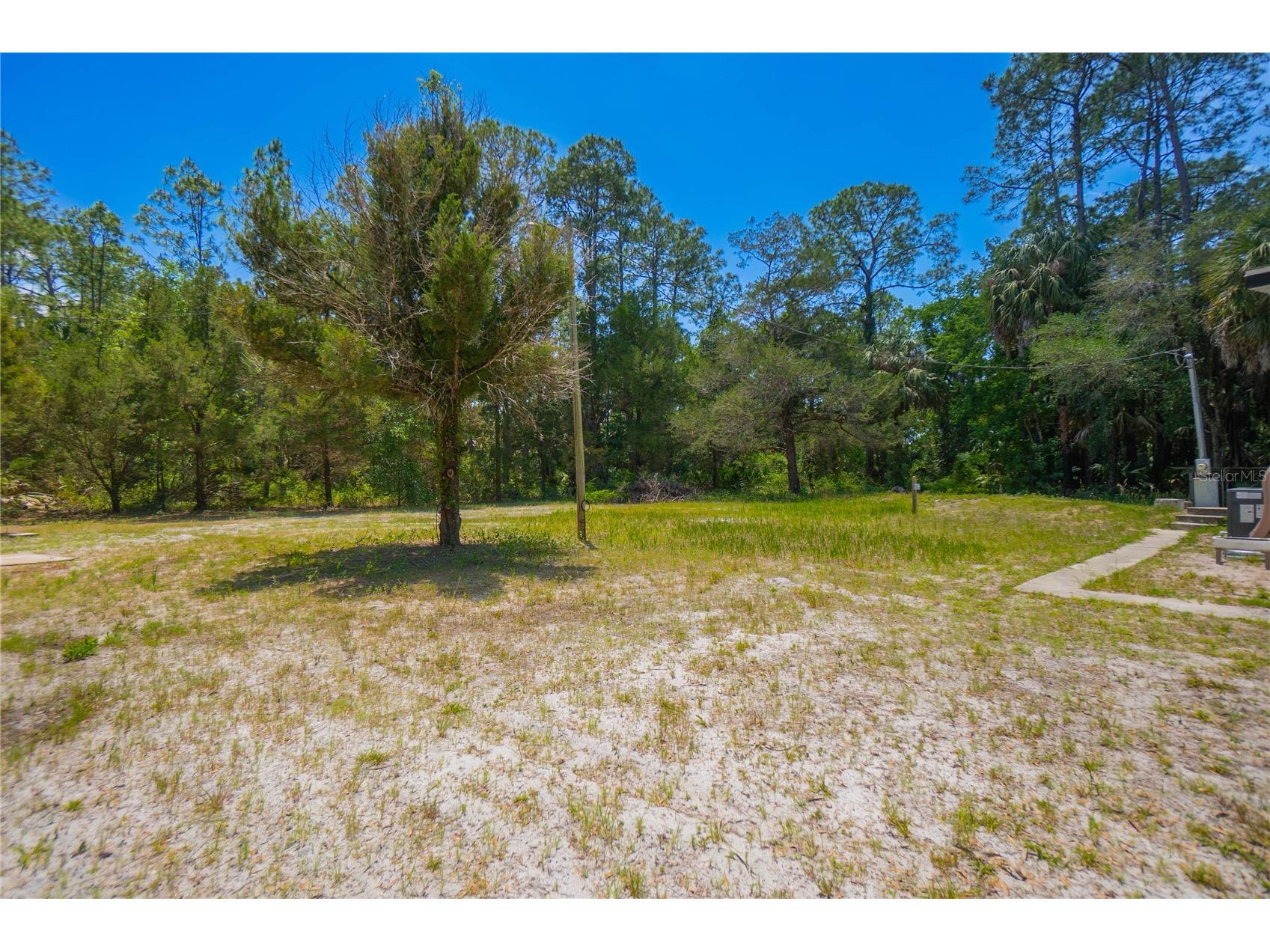 6550 SE Debra Avenue Inglis FL 34449 W7885509 image34