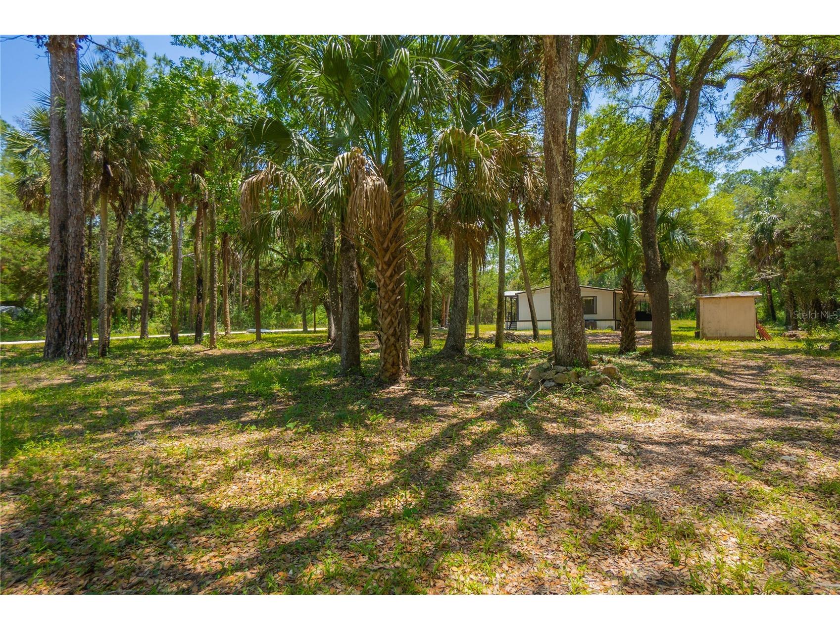 6550 SE Debra Avenue Inglis FL 34449 W7885509 image35