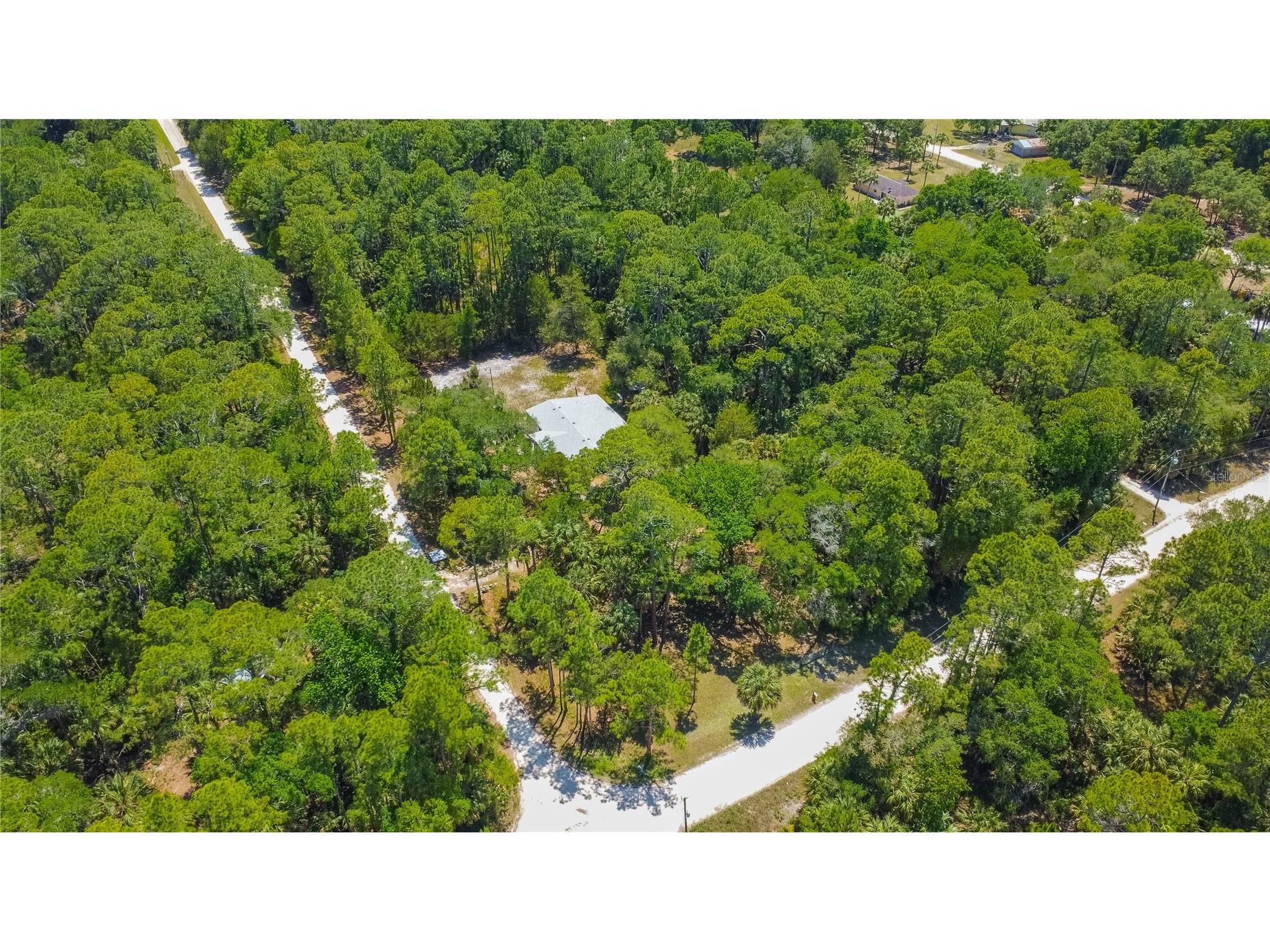 6550 SE Debra Avenue Inglis FL 34449 W7885509 image37