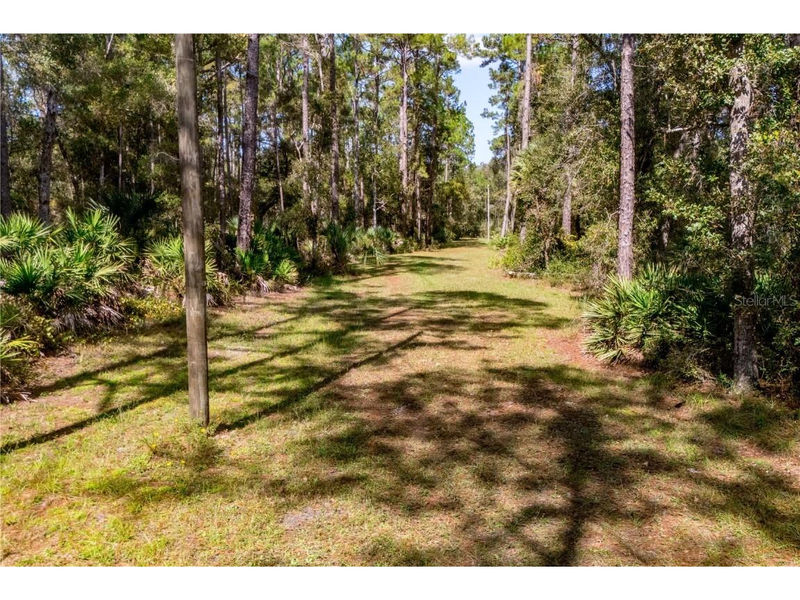 6550 SW 100th Court Cedar Key FL 32625 GC535029 image39